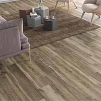 Amazonia Porcelain Oliva, Canela, Amendoa WoodLook Tile Plank 8 by 36